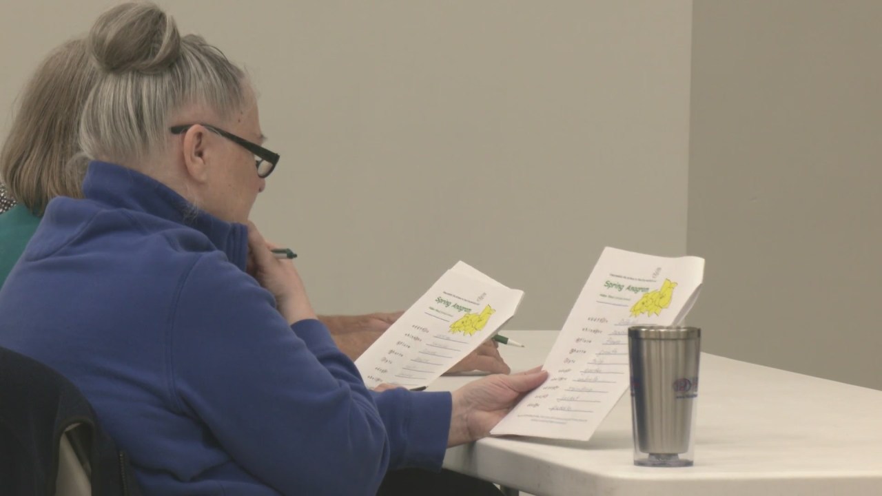 Read more about the article Seniors paintings to secure their minds clever with mind health program in Ogle County – MyStateline.com