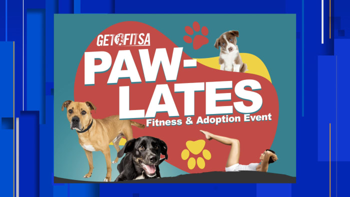 Read more about the article Get are compatible & to find your fur-ever buddy at San Antonio's “Paw-lates” Health and Adoption Tournament – KSAT San Antonio