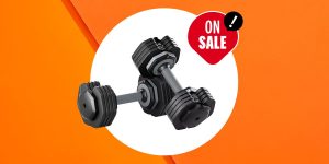 Read more about the article Flybird Health Summer time Sale: Save 30% Off Those Writer-Licensed Dumbbells – Girls's Fitness